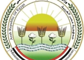 البحر الأحمر تتصدر القائمة تليها الجيزة والشرقية وأسوان.. «الزراعة» المجازر الحكومية استقبلت أكثر من 34 ألف أضحية في العيد بجميع المحافظات