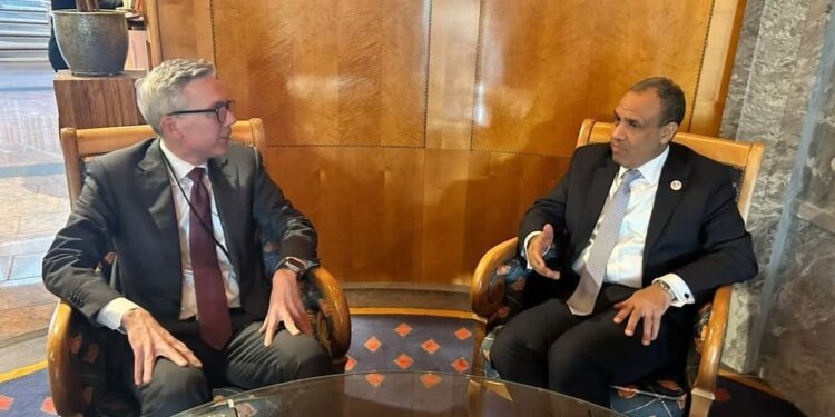 وزير الخارجية يلتقى مع الرئيس التنفيذى لشركة «سكاتك النرويجية» لتعزيز العلاقات التجارية والاستثمارية بين البلدين 