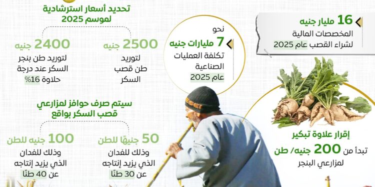 إنفوجراف .. «مجلس الوزراء» مصر على أعتاب الاكتفاء الذاتي من السكر
