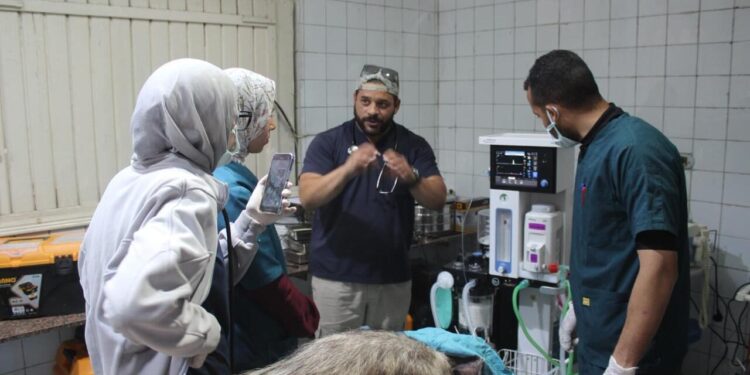 لتصنفها دولياً.. «التحالف الوطني» يستعين بأفضل الخبرات الدولية والمحلية لرعاية الحيوانات بحديقة الحيوان