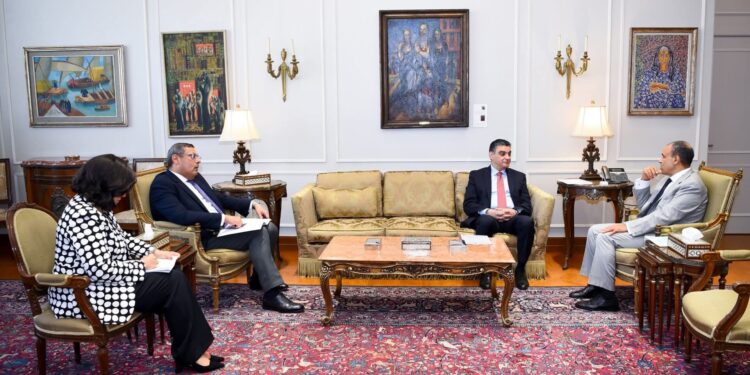 وزير الخارجية يلتقي رئيس هيئة الشراء الموحد لبحث تعزيز التعاون في مجال تصدير الدواء المصري إلى القارة الإفريقية