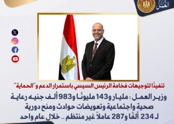 وزير العمل : 1.1 مليار جنيه رعاية صحية واجتماعية وتعويضات حوادث ومنح دورية لـ 234 ألفًا و287 عاملًا غير منتظم ..خلال عام واحد