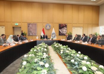 وزير المالية: 5 مليارات جنيه أكبر مساندة اقتصادية للمشروعات المتوسطة والصغيرة ومتناهية الصغر