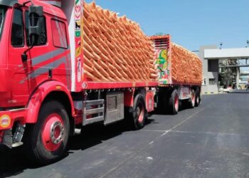 «الزراعة» تعلن مواصلة توزيع الأسمدة المدعمة للفلاحين