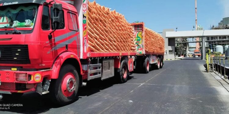 «الزراعة» تعلن مواصلة توزيع الأسمدة المدعمة للفلاحين