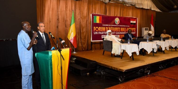 وزير الخارجية والهجرة يفتتح منتدى الأعمال المصري – المالي بمشاركة وزيرا الخارجية والتجارة والصناعة الماليين