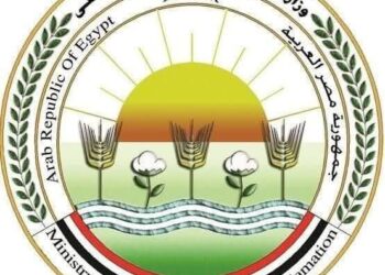 خبر سار للمزارعين والمصدرين .. «الزراعة» تعلن عن موافقة الاتحاد الأوروبي على تيسير إجراءات تصدير البطاطس المصرية إليها