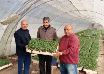 «الزراعة» تصدر تراخيص ل 352 صوبة ومشتل لإنتاج شتلات خضر خلال يونيو.. وتشرف على تصدير 1.2 مليون شتلة فراولة و343 ألف شتلة فاكهة