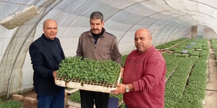 «الزراعة» تصدر تراخيص ل 352 صوبة ومشتل لإنتاج شتلات خضر خلال يونيو.. وتشرف على تصدير 1.2 مليون شتلة فراولة و343 ألف شتلة فاكهة