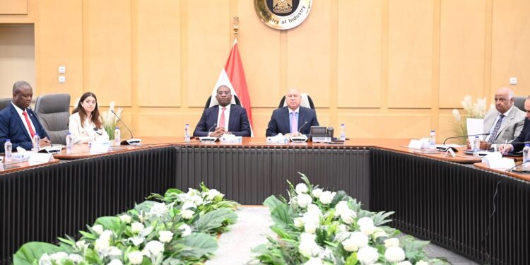 وزير النقل يعقد جلسة مباحثات مع مسئولي جمهورية الكونغو الديمقراطية لبحث تدعيم التعاون في مجالات النقل المختلفة