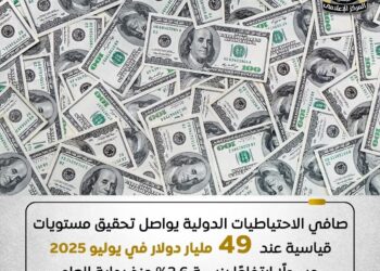 صافي الاحتياطيات الدولية يرتفع مسجلًا مستوى قياسيًا جديدًا عند 49 مليار دولار في يوليو 2025