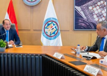 وزير المالية: دعم جهود تمكين القطاع الخاص المصري مع التركيز على التوسع والنفاذ إلى الأسواق الأفريقية