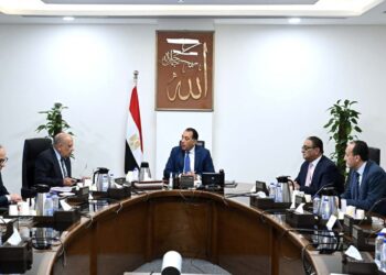 رئيس الوزراء يتابع الموقف التنفيذي لتوفير التغذية الكهربائية لمشروعات التنمية الزراعية بالدلتا الجديدة