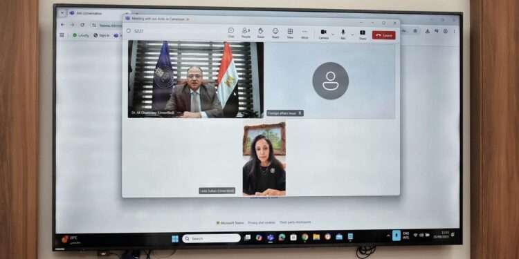 رئيس هيئة الدواء يبحث مع سفيرة مصر لدى الكاميرون سبل تعزيز التعاون الدوائي