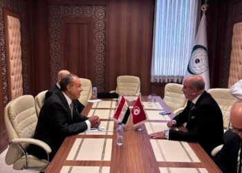 وزيرا خارجية مصر وتونس يبحثان العلاقات الثنائية والتطورات الإقليمية
