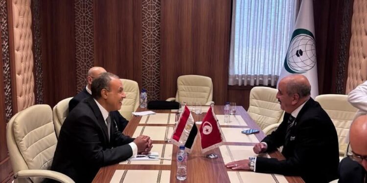 وزيرا خارجية مصر وتونس يبحثان العلاقات الثنائية والتطورات الإقليمية