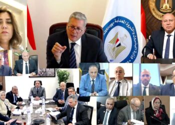 وزير البترول يؤكد: شركات توزيع المنتجات البترولية الوطنية تلعب دوراً أساسياً في تلبية احتياجات المواطن اليومية من الوقود والخدمات