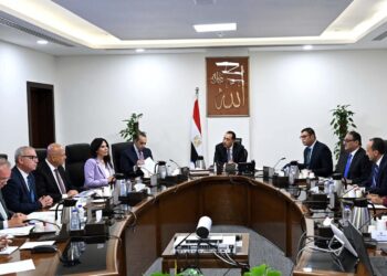 رئيس الوزراء يستعرض آليات تنفيذ مشروعات الكهرباء بالمدن الجديدة بنظام المشاركة مع القطاع الخاص