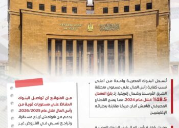 فيتش: القطاع المصرفي المصري يحصد شهادة دولية ويثبت صلابته عالميًا