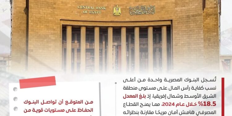 فيتش: القطاع المصرفي المصري يحصد شهادة دولية ويثبت صلابته عالميًا