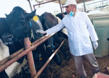 «الزراعة» تواصل جهود الكشف المبكر والسيطرة على الأمراض المشتركة خلال يوليو