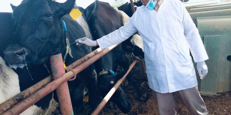 «الزراعة» تواصل جهود الكشف المبكر والسيطرة على الأمراض المشتركة خلال يوليو