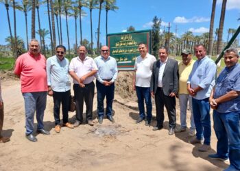 بطاقة 200 ألف طن من الأخشاب… رئيس « البحوث الزراعية» يتفقد أكبر مصنع لتحويل قش الأرز إلي صناعة تحويلية لإنتاج الأثاث