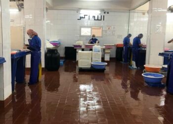 الزراعة: إنتاج 2736 طنا من مساحيق المخلفات الحيوانية الناتجة عن الذبح خلال يوليو