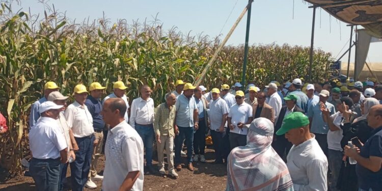 تنفيذا لتوجيهات «فاروق».. «الزراعة» تستعد مبكرا لمواجهة حرق قش الأرز.. اجتماع موسع بمحافظة الشرقية لبحث الخطط التنفيذية للحد من السحابة السوداء