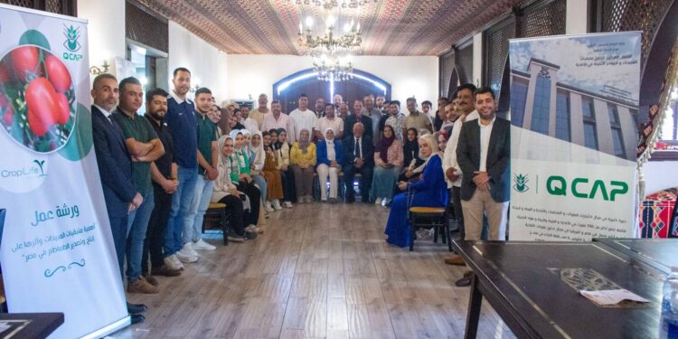 الزراعة المركزي لمتبقيات المبيدات ينظم ورشة عمل لمنتجي ومصدري الطماطم بالتعاون مع كروب لايف مصر بالشرقية