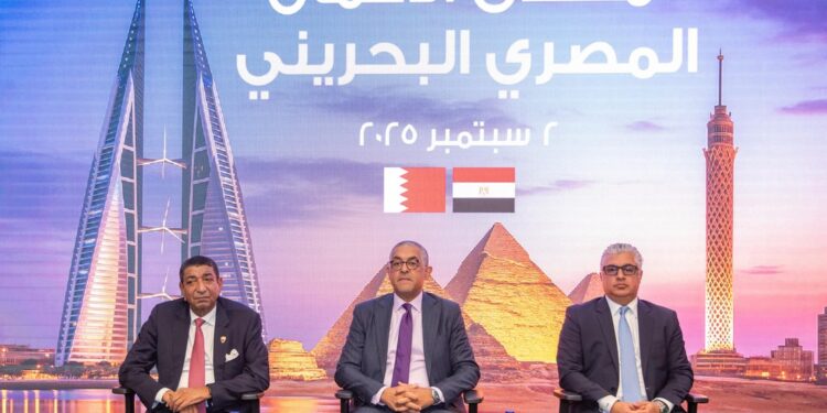 وليد جمال الدين: نجحنا في جذب 311 مشروعًا خلال38 شهرًا باستثمارات تتجاوز 10.2 مليارات دولار