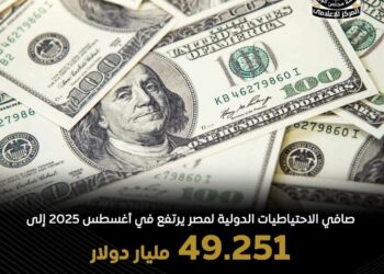 مسجلا رقما قياسيا .. صافي الاحتياطيات الدولية لمصر يتخطى 49 مليار دولار في نهاية أغسطس 2025