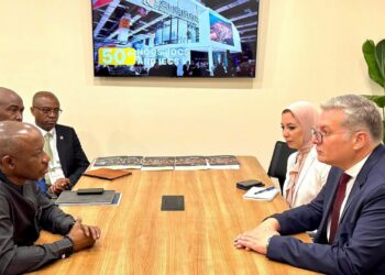 مباحثات بين مصر ونيجيريا لزيادة الاستثمارات المشتركة في الطاقة