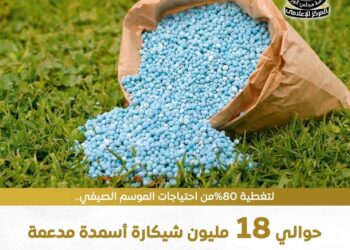 لتغطية 80% من احتياجات الموسم الصيفي .. 18 مليون شيكارة أسمدة مدعمةتم ضخها بالجمعيات الزراعية حتي الآن