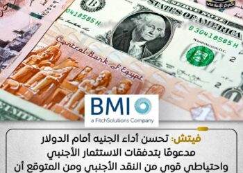 وكالة فيتش تشيد بتحسن أداء الجنيه أمام الدولار مدعوما بتدفق الاستثمارات الأجنبية