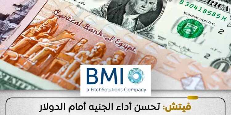 وكالة فيتش تشيد بتحسن أداء الجنيه أمام الدولار مدعوما بتدفق الاستثمارات الأجنبية