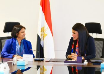 المشاط: 1.16 تريليون جنيه سقف الاستثمارات العامة للعام المالي الجاري للحفاظ على استقرار الاقتصاد الكلي وخفض الدين العام