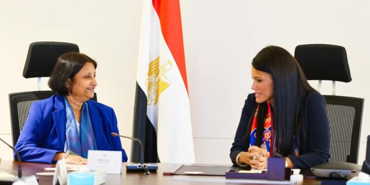 المشاط: 1.16 تريليون جنيه سقف الاستثمارات العامة للعام المالي الجاري للحفاظ على استقرار الاقتصاد الكلي وخفض الدين العام