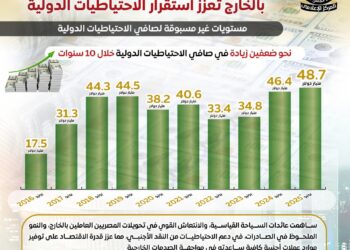 وصلت 36.5 مليار دولار .. قفزة قياسية في تحويلات المصريين العاملين بالخارج تعزز استقرار الاحتياطيات الدولية
