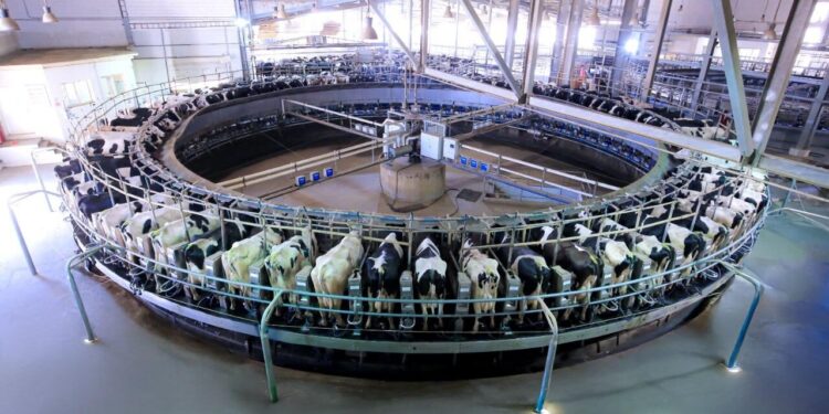 في إطار التزامها بالاستثمار في التكنولوجيا الزراعية وتعظيم الإنتاج .. «جهينه» تطلق مرحلة جديدة من التوسع في مزرعة «إنماء» بتطوير وحدة الحلب بتقنيات أكثر تقدّمًا