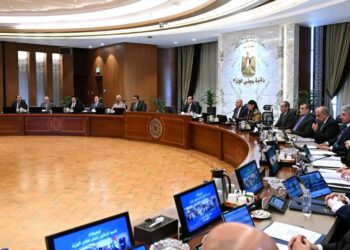 المشاط: استمرار ارتفاع معدل نمو الناتج المحلي الإجمالي ليسجل 5% في الربع الرابع من عام 2024/2025 مسجلًا أعلى معدل نمو ربع سنوي منذ 3 سنوات