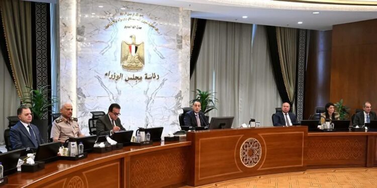 خلال اجتماع مجلس الوزراء اليوم: وزير الموارد المائية والري يشرح تداعيات فيضان «النيل» واستعدادات المواجهة
