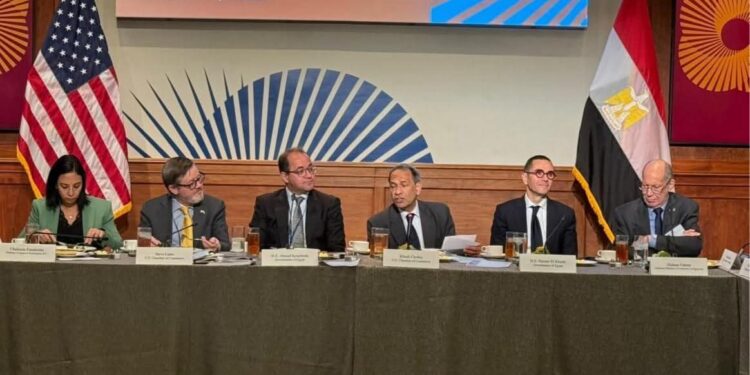 وزير المالية: الاقتصاد المصري ينمو بخطى جيدة ومشجعة.. ونشاط قوي ومحفز ومتنوع للقطاع الخاص فى بيئة أعمال أكثر تنافسية