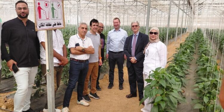 إشادة أوروبية بدور الهيئة القومية لسلامة الغذاء في تعزيز الصادرات المصرية ونجاحها في اجتياز المراجعة الفنية