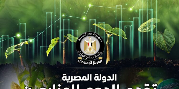 إنفوجراف .. دعم غير مسبوق للمزارع المصري.. الدولة تتحمل 70 مليار جنيه سنويًا لتوفير الأسمدة وتطبق الزراعة التعاقدية بأسعار عادلة