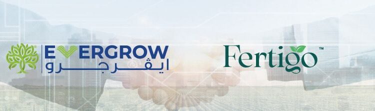 «ايڤرجرو» تبرم اتفاقا مع «فيرتيجو» لتوريد 60 الف طن سنويا من سلفات البوتاسيوم بداية من 2026