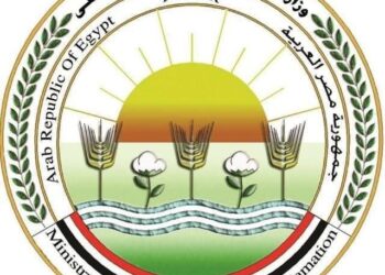 الزراعة: المشروع القومي لإحياء البتلو ساهم في تحقيق طفرة في إنتاج مصر من اللحوم والألبان