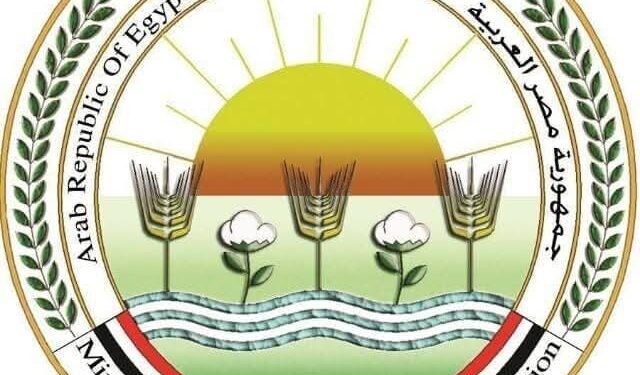الزراعة: المشروع القومي لإحياء البتلو ساهم في تحقيق طفرة في إنتاج مصر من اللحوم والألبان