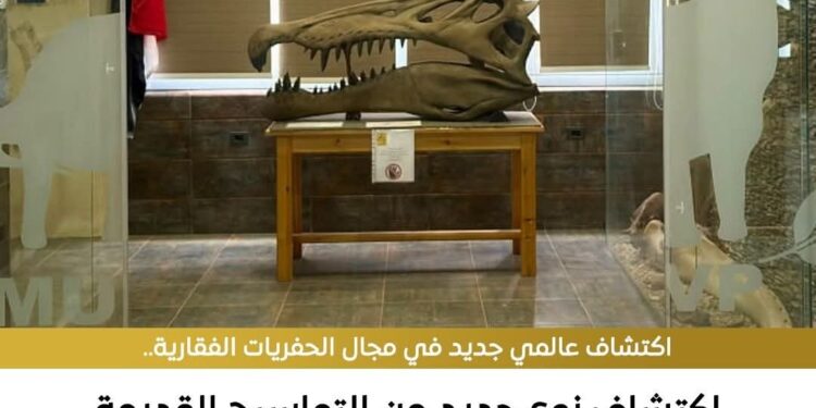 اكتشاف نوع جديد من التماسيح القديمة عاش في مصر منذ نحو 80 مليون عام بصحراء مصر الغربية