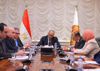 وزير العمل يبحث مع قيادات الهيئة القومية للتأمينات الاجتماعية تعزيز التعاون في ملفات الحماية الاجتماعية وتوسيع مظلة التأمين للعاملين